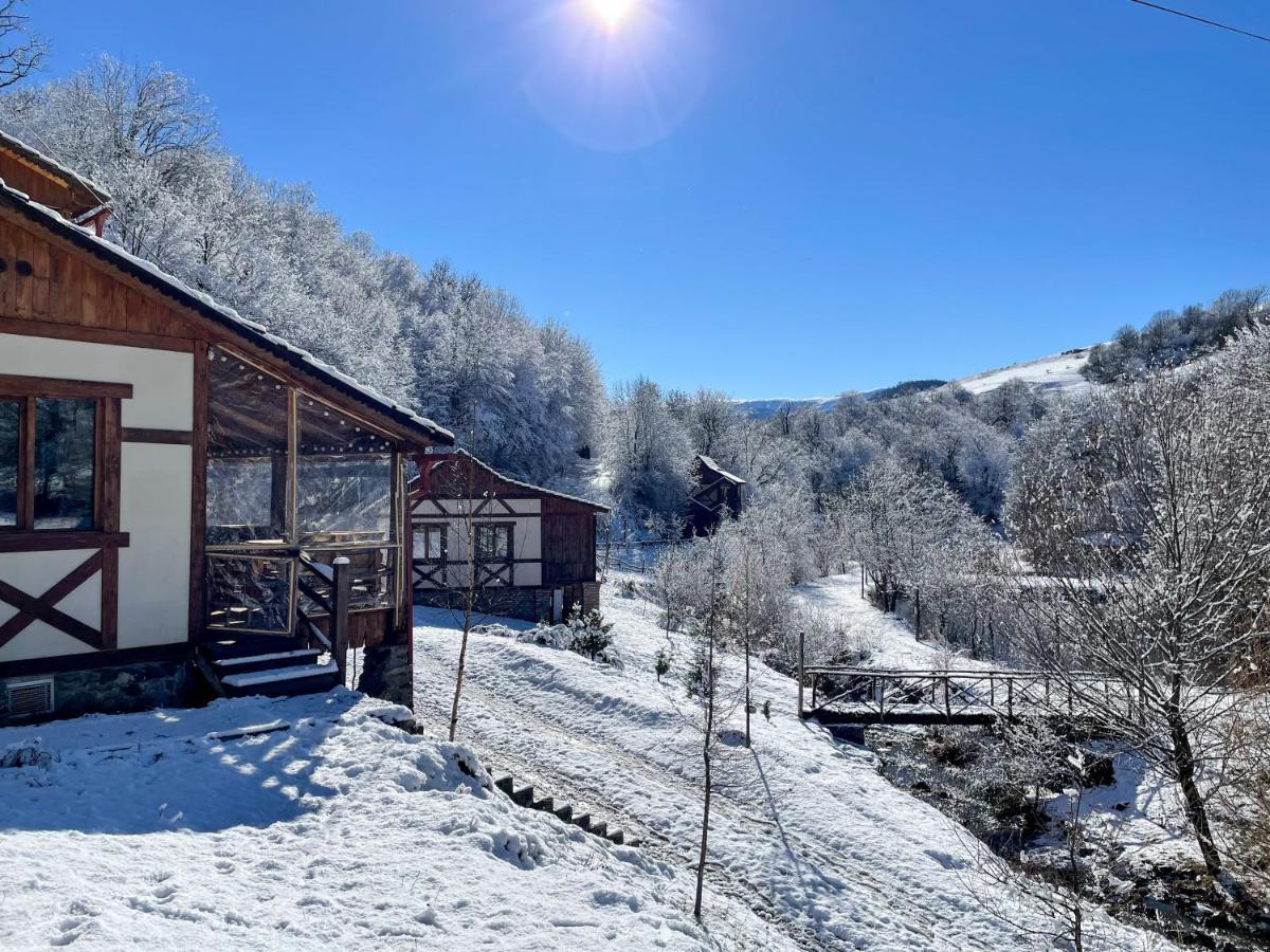 Ecokayan Dilijan Resort Hotel Екстер'єр фото