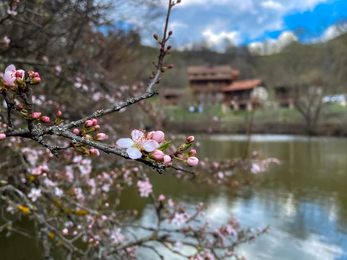 Ecokayan Dilijan Resort Hotel Екстер'єр фото