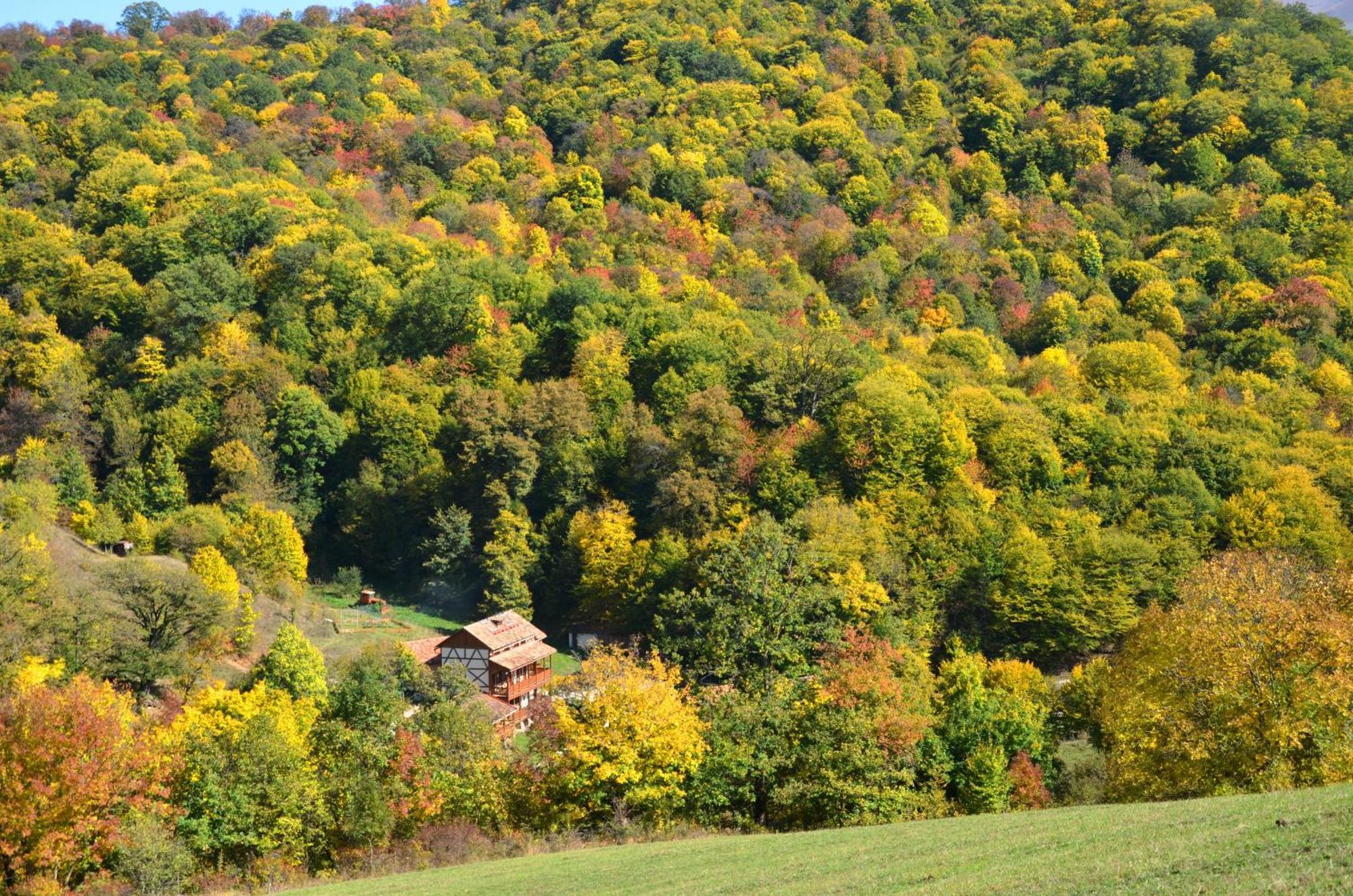 Ecokayan Dilijan Resort Hotel Екстер'єр фото