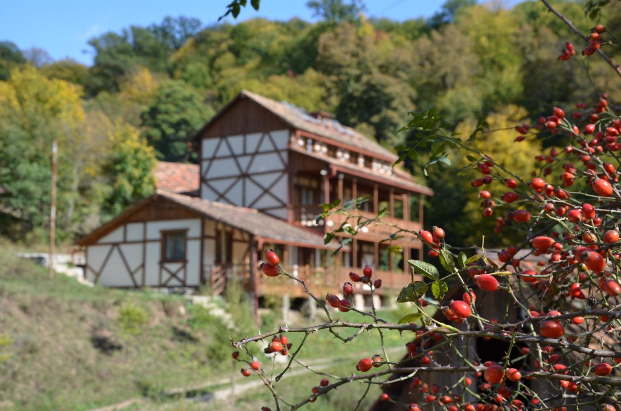 Ecokayan Dilijan Resort Hotel Екстер'єр фото