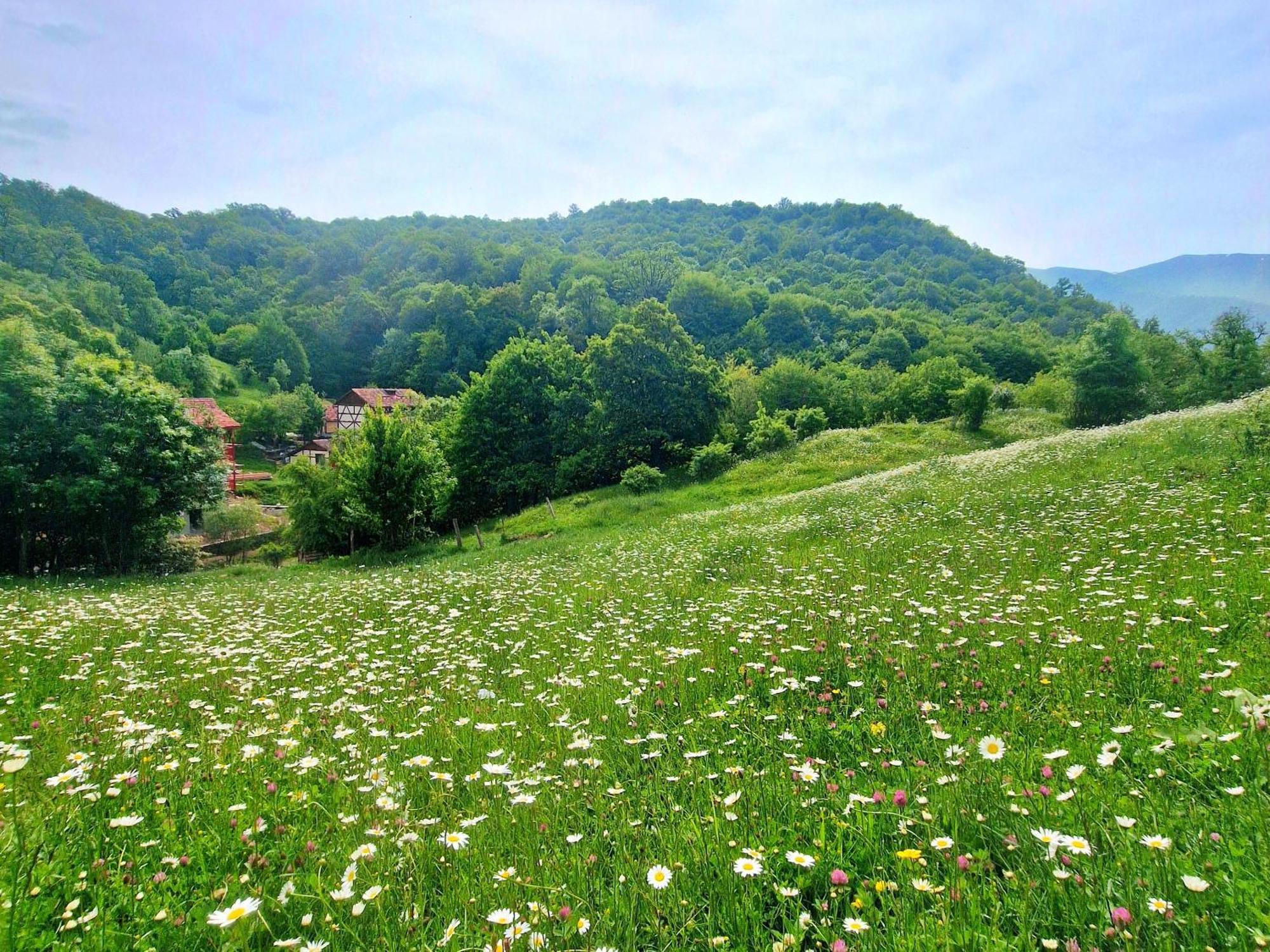 Ecokayan Dilijan Resort Hotel Екстер'єр фото