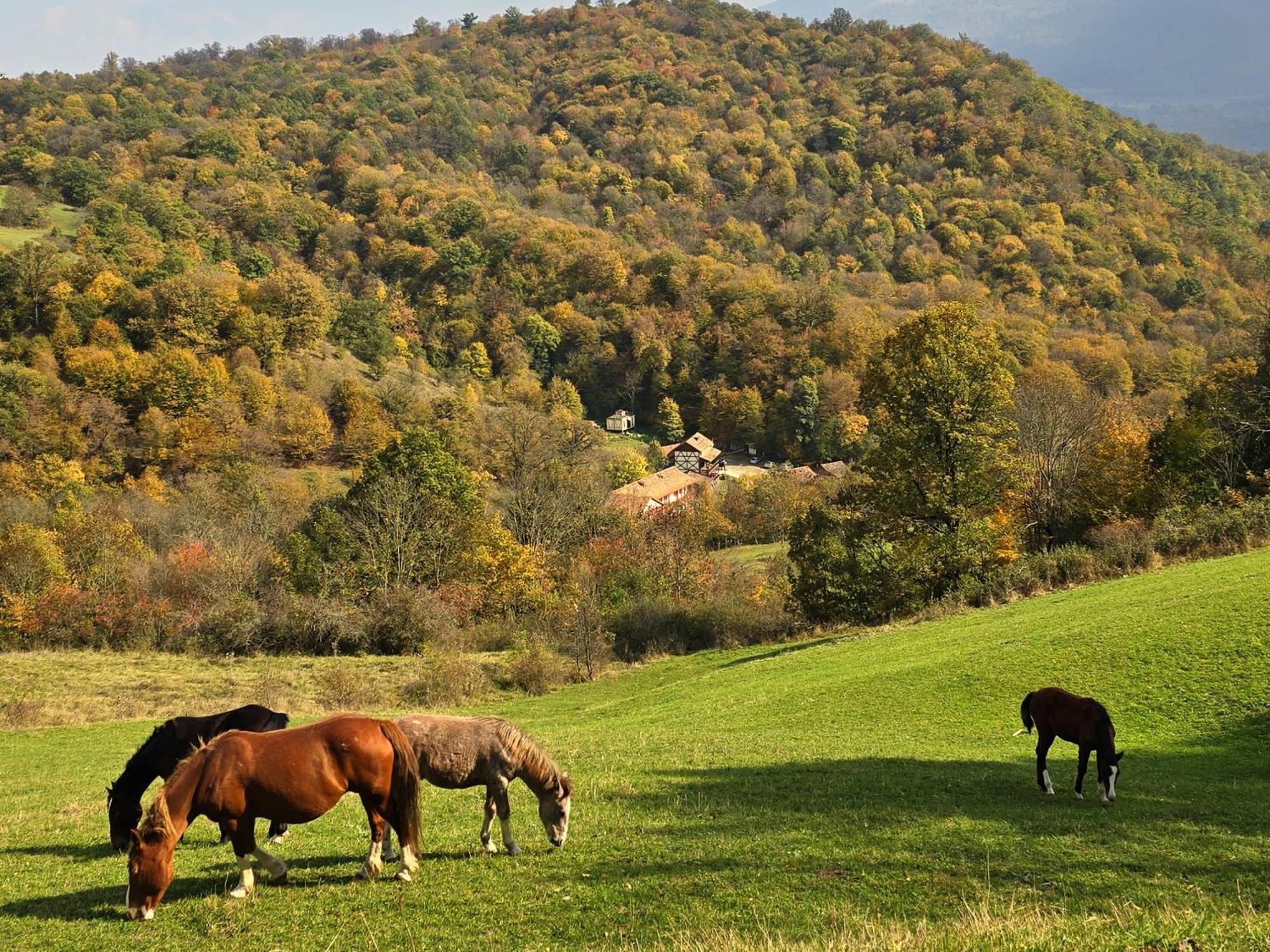 Ecokayan Dilijan Resort Hotel Екстер'єр фото