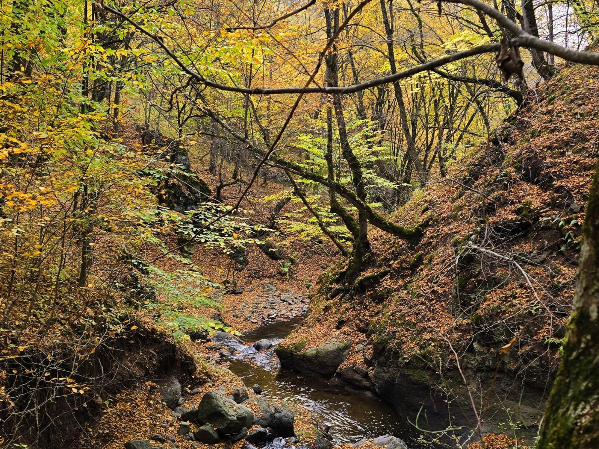 Ecokayan Dilijan Resort Hotel Екстер'єр фото